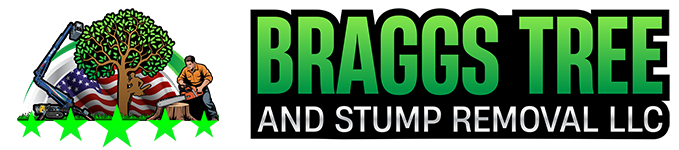 Bragg's Tree & Stump Removal LLC Logo