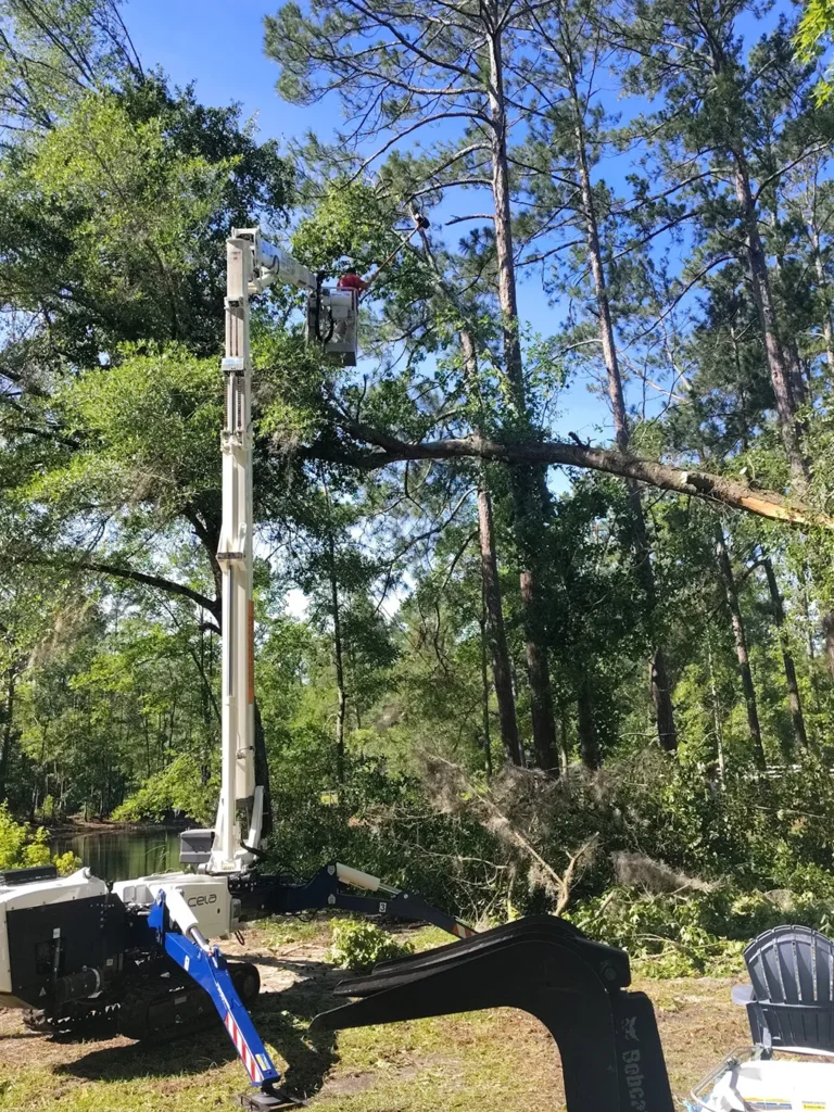 Worker in a bucket elevates from a crane to trim a tree branch in a forested area near water.